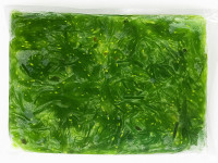 珍味裙帶絲1000g*1包(120)